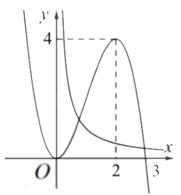 image13.png
