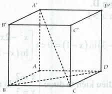 image13.png