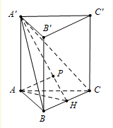 image13.png