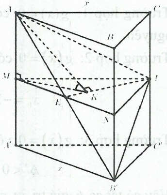 image14.jpg