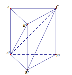 image14.png