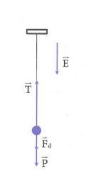image14.png