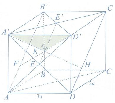 image14.png