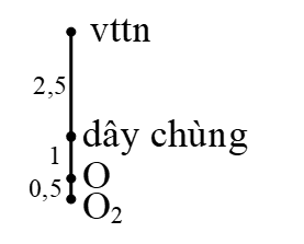 image15.png