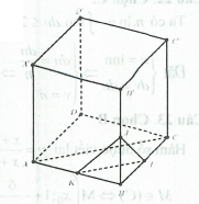 image15.png