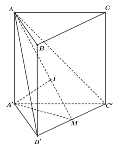 image16.png