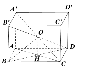 image16.png