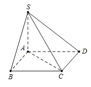 image17.jpg