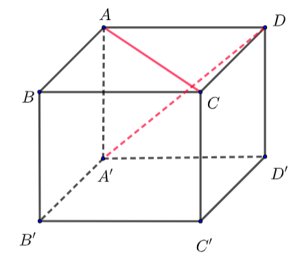 image17.png