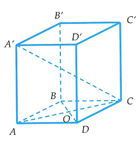 image17.png