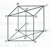 image17.png
