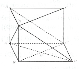 image17.png