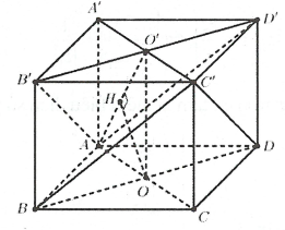 image17.png