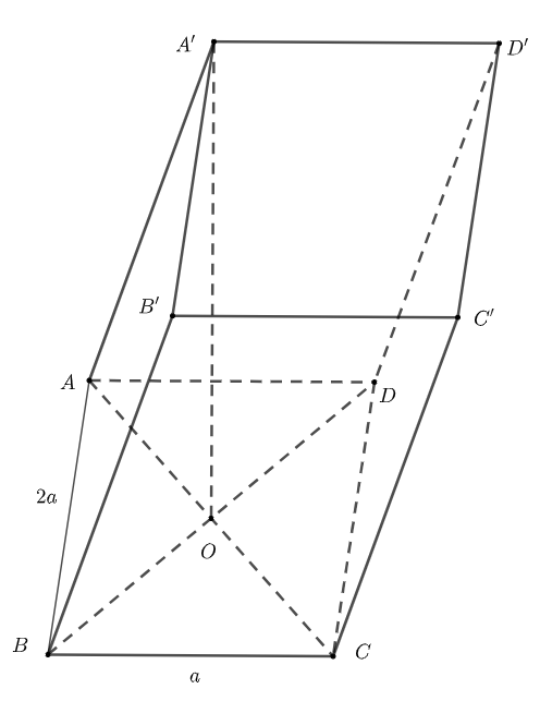 image18.png