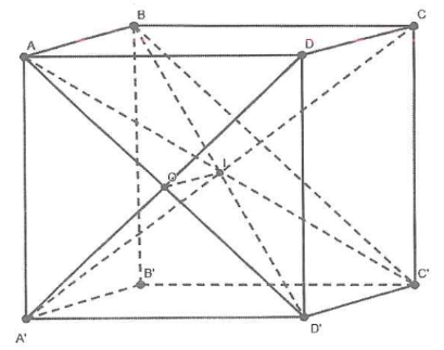image18.png