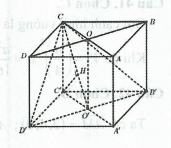 image18.png