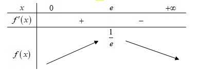 image19.jpg