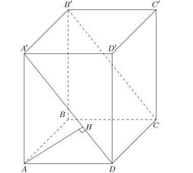 image19.png