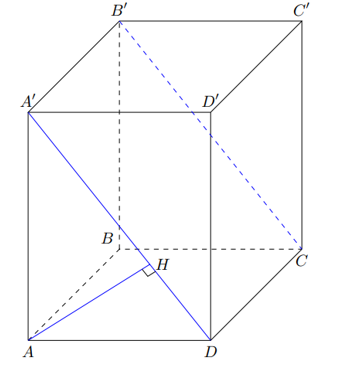 image19.png