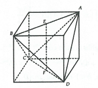 image19.png