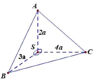 image2.jpg