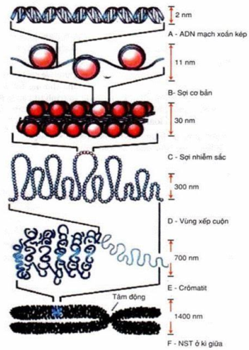 image2.png