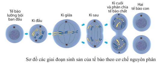 image2.png