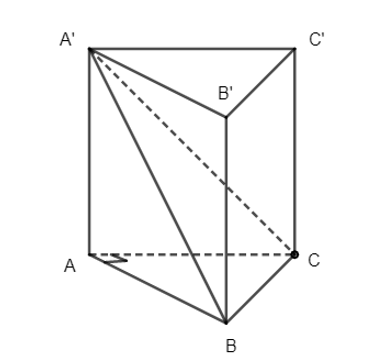 image2.png