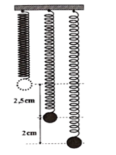 image2.png