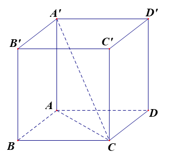 image2.png