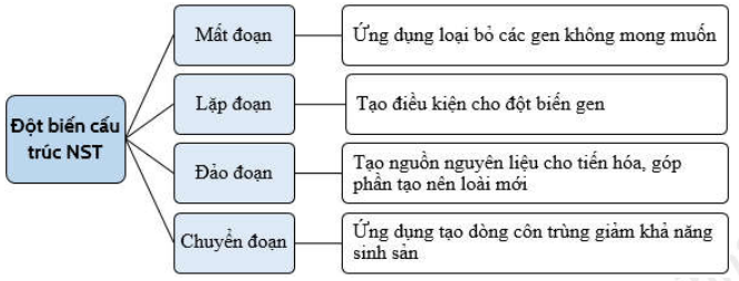 image2.png