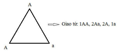 image2.png