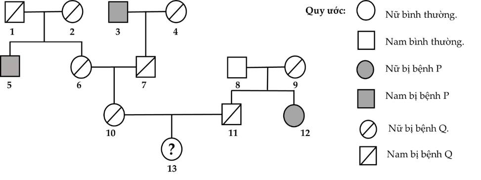 image2.png