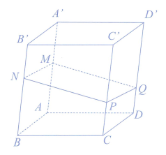 image20.png