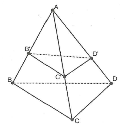 image21.png