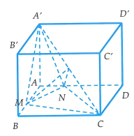image22.png