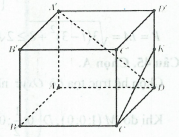 image22.png
