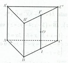 image22.png