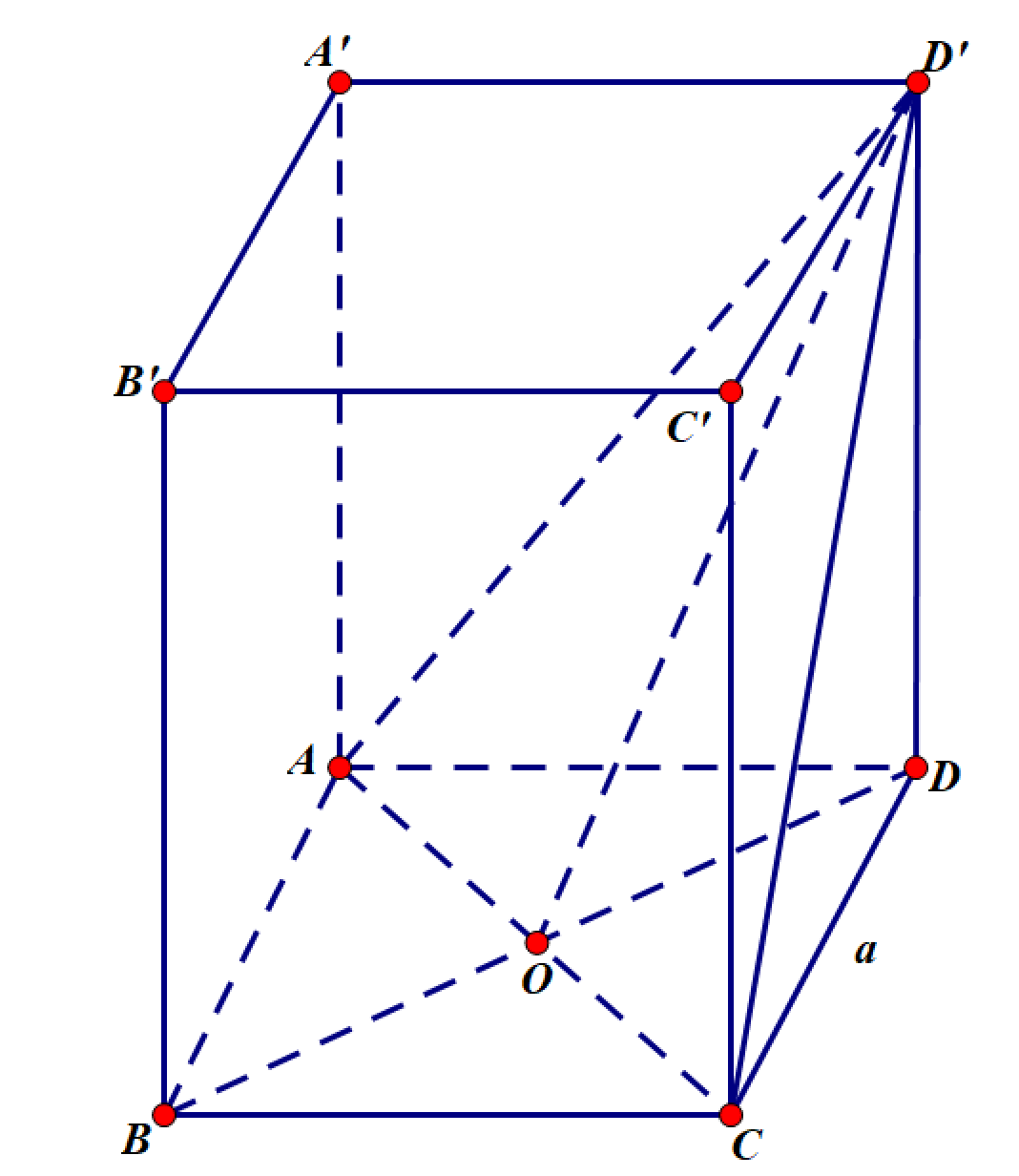 image24.png