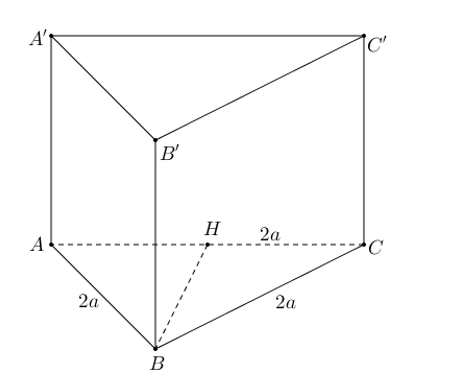 image3.png