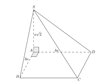 image3.png
