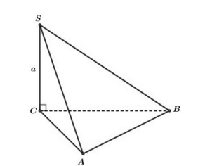 image3.png