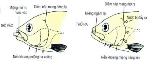 image3.png