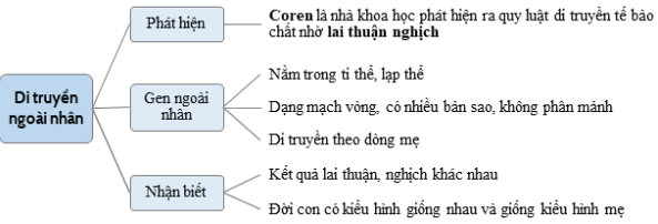 image3.png