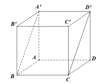 image3.png