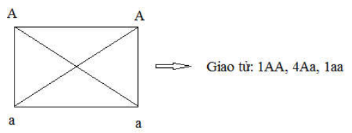 image3.png