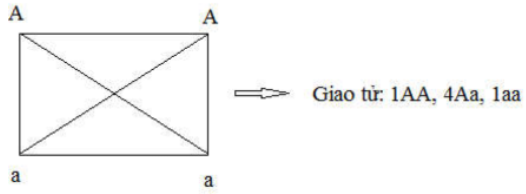 image3.png