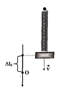 image3.png