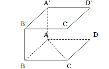 image4.png