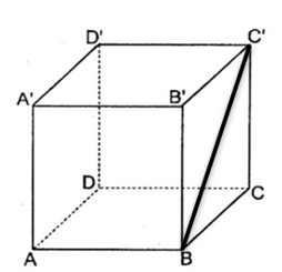 image4.png